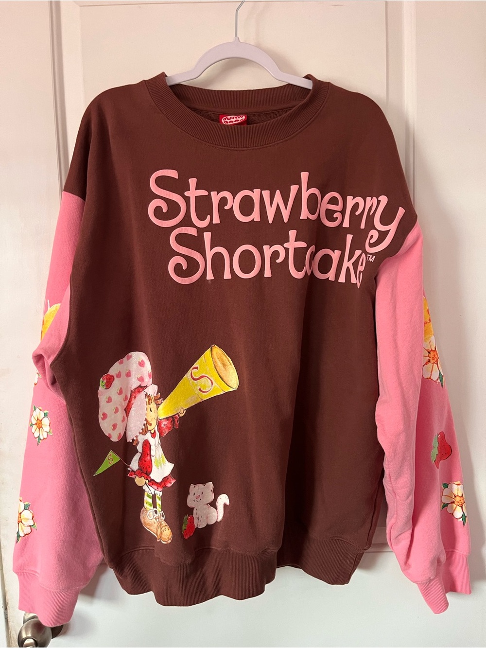Strawberry Shortcake Graphic Sweatshirt x  Dumb Good - Brown & Pink